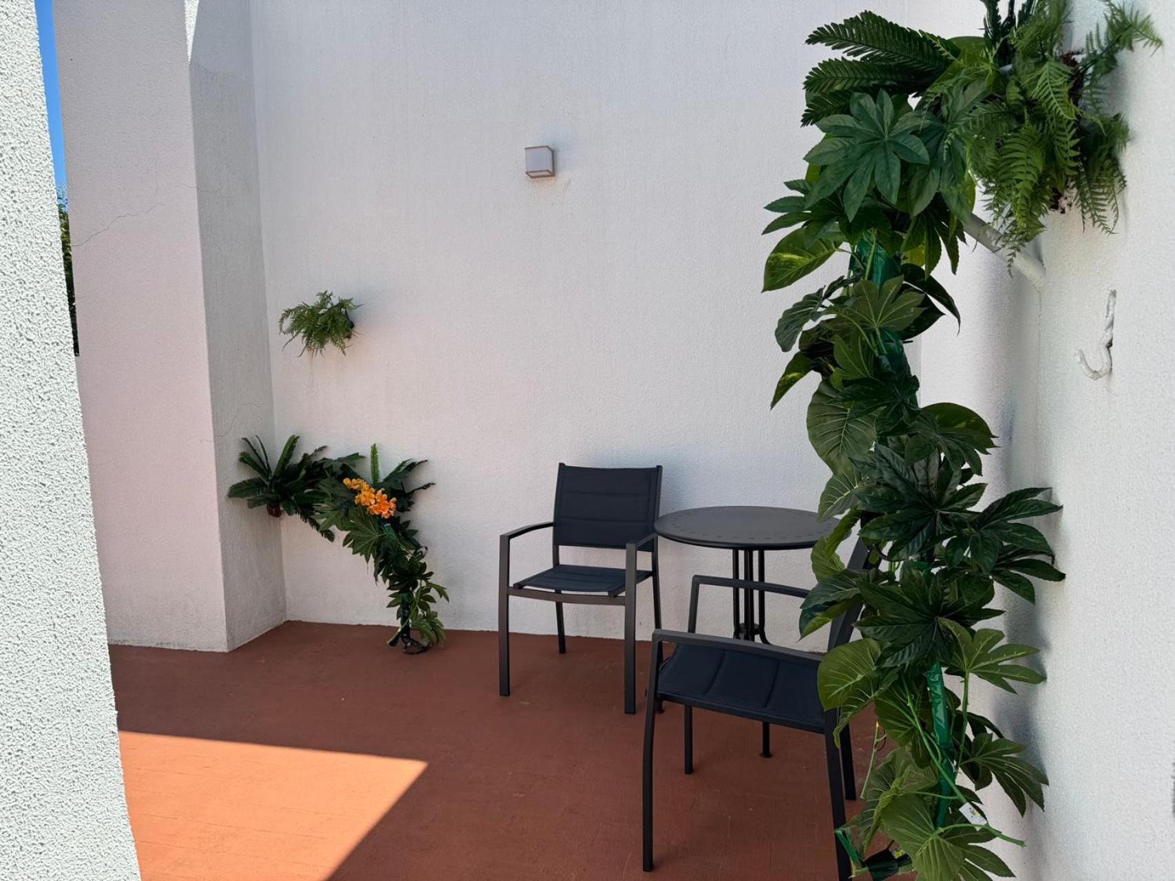 אוייראס Aomo Art Space Hostel מראה חיצוני תמונה