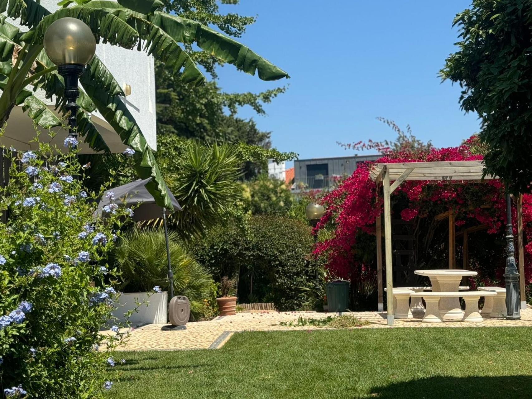 אוייראס Aomo Art Space Hostel מראה חיצוני תמונה